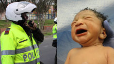 Un policier réanime un nouveau-né en suivant les instructions au téléphone – un véritable acte héroïque