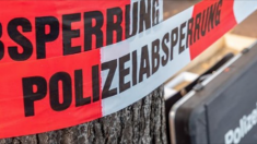 Allemagne : un agresseur armé d’une hache est abattu d’une balle dans la tête – l’homme venait d’Érythrée