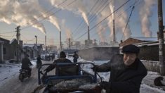 Chine : la désinformation sur l’écologie et le climat