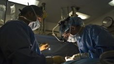 Une compresse oubliée lors d’une opération provoque l’amputation d’un patient, le chirurgien condamné