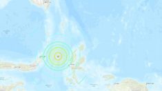 Un tremblement de terre de magnitude 7,1 a frappé au large de l’Indonésie – l’alerte au tsunami a été levée