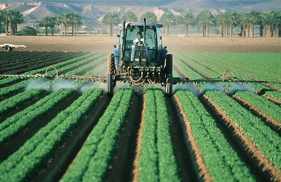 Deux arrêtés anti-pesticides validés. (Photo d'illustration : crédit Pixabay)
