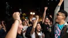 D’énormes victoires pour le camp pro-démocratie de Hong Kong suite aux résultats des élections locales