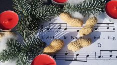 En Suisse, la direction d’une école annule trois chants de Noël pour que « toutes les cultures puissent se sentir concernées »