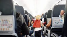 Un garçon de 2 ans gagne le cœur des passagers d’un avion grâce à son geste qui plaît à tous