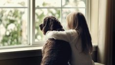 Obligée de se séparer de sa chienne à l’adolescence, une femme la retrouve miraculeusement en adoptant une chienne âgée