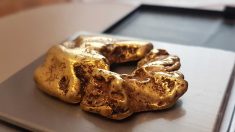 La plus grosse pépite d’or du Royaume-Uni trouvée dans une rivière écossaise