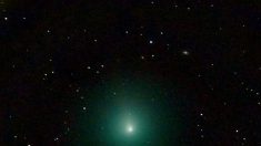 La NASA dévoile que la comète interstellaire Borisov s’est légèrement écartée de sa trajectoire