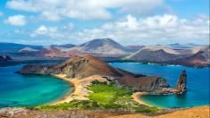 Archipel des Galapagos : une nappe de diesel « maîtrisée »
