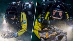 Des ossements de bêtes datés à plus de 13.000 ans trouvés dans une grotte sous-marine au Mexique