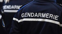 Toulouse : en conflit avec ses frères et sœurs, il tente de recruter des djihadistes pour les éliminer et récupérer l’héritage familial