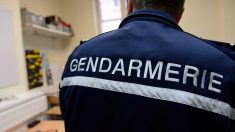 Pour avoir dénoncé la vérité sur la délinquance, un capitaine de gendarmerie blâmé par sa hiérarchie