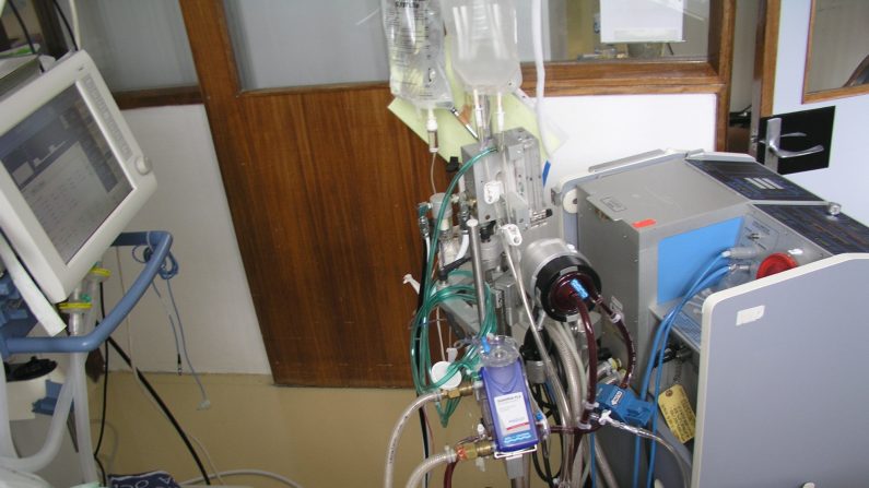 Une machine d'oxygénation par membrane extra-corporelle, communément appelée ECMO, comme celle qui a sauvé la vie d'Audrey Mash. (Cmenesesoliveira/Wikipedia)