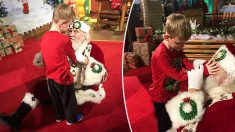 Une mère murmure au père Noël que son fils est « aveugle et autiste », sa réponse est étonnante