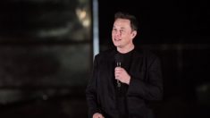 Ce que le pare-brise brisé d’Elon Musk, le PDG de Tesla, peut nous apprendre sur façon de voir les choses