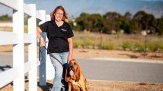 Une femme entraîne des chiens limiers pour retrouver des gens portés disparus et des criminels