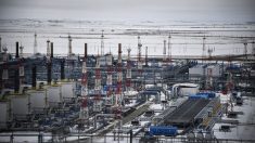 La Russie ouvre le robinet du premier gazoduc « historique » vers la Chine
