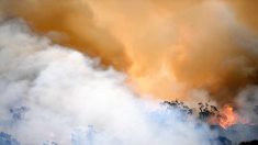 Des images impressionnantes d’incendies et de tornades de feu filmées dans l’est de l’Australie