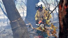 Australie: les pompiers volontaires, remparts contre les incendies soumis à rude épreuve