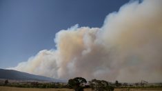 Incendies en Australie: un nuage toxique enveloppe la capitale