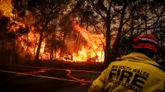 Australie: des touristes en danger en raison d’une recrudescence des incendies