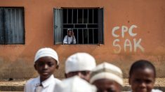 Enfants enchaînés dans une école coranique sénégalaise: leur maître condamné avec sursis