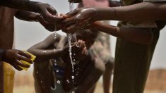 Kenya : une ONG transforme de l’eau de mer en eau potable pour 35.000 personnes chaque jour