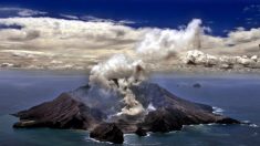 Éruption d’un volcan en Nouvelle Zélande : des touristes portés disparus