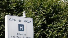 CHU de Rouen: 100.000 euros d’argent public dépensés pour une fresque abstraite alors que les hôpitaux manquent de financement