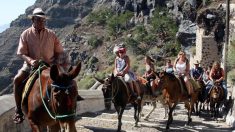 Grèce : une loi prévoit jusqu’à 30.000€ d’amende pour les touristes trop gros montant sur des ânes – mais ces nouvelles règles ne sont ni appliquées ni vérifiées