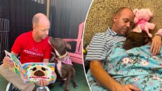 Un bénévole d’un refuge pour chiens emménage dans le chenil d’une chienne solitaire alors que plus personne ne voulait l’aider à se faire adopter