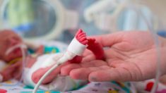 «On nous a dit d’envisager l’avortement»: les plus petits jumeaux du monde survivent après une naissance prématurée à 23 semaines