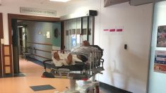 Après six heures passées sur un brancard des urgences, un homme de 86 ans est décédé