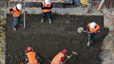 Des travailleurs de la construction creusent le sol pour un gratte-ciel et trouvent un artefact de 15 mètres de long
