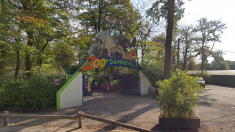 Le zoo d’Amnéville accusé de pratiques douteuses : animaux enterrés, eaux usées dans la forêt, employés et visiteurs fichés