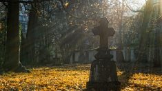 Une femme de 90 ans découverte sans vie dans un cimetière, son fils en garde à vue
