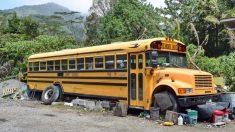 Une maman vivant dans un bus en panne avec ses trois enfants croit à un «canular» lorsqu’une inconnue lui offre une maison