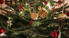 Pas-de-Calais : une entreprise familiale récompense les efforts de ses salariés avec une très belle prime de Noël