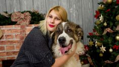 Lille : le Waf café accueille les chiens abandonnés pour les proposer à l’adoption à ses clients