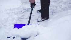Les employés du parc déblayent la neige pour qu’un veuf âgé puisse visiter le banc commémoratif de son épouse pendant l’hiver