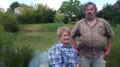 Grenouilles trop bruyantes : la justice ordonne le comblement de la mare d’un couple en Dordogne