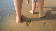 Un séjour à la plage se transforme en cauchemar pour une famille quand un garçon de 3 ans perd presque ses orteils