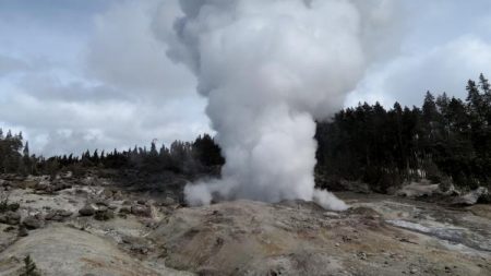 Le geyser le plus actif du monde à Yellowstone a battu son record d’éruptions cette année