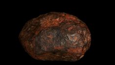 Les chercheurs ont trouvé un tout nouveau minéral au coeur d’ une minuscule météorite. On ne l’avait jamais vu dans la nature auparavant