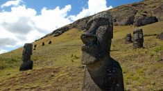 Les grandes statues Moaï de l’île de Pâques remplissaient des fonctions agricoles comme le disent les légendes, en témoignent certaines évidences scientifiques