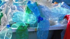 L’Assemblée vote la fin de l’emballage plastique à usage unique pour… 2040