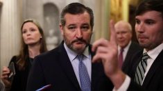 «Les démocrates sont dans une panique totale», affirme Ted Cruz après que Nancy Pelosi a retardé l’envoi des articles sur la destitution de Trump au Sénat