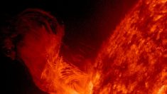 Un nouveau type d’explosion a été découvert dans le Soleil – Elle pourrait être provoquée par une force extérieure