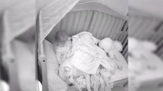 Papa laisse son bébé qui a peur dormir à côté d’un pitbull de 45kg, les images de la caméra de surveillance deviennent virales