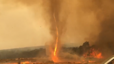 Vidéo – Incendies Australie : une tornade de feu dans l’est du pays
